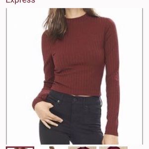 Express Long Sleeve Mock Neck Crop Top